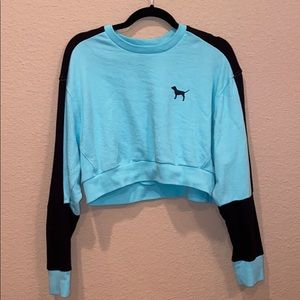 PINK: Seafoam Green Long Sleeve Crop Top